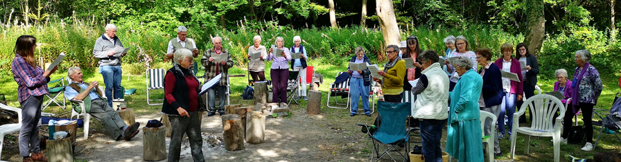 Singing in the woods, September 2020